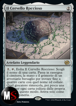 IL CERVELLO ROCCIOSO