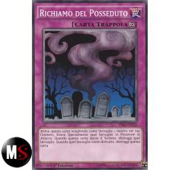 RICHIAMO DEL POSSEDUTO